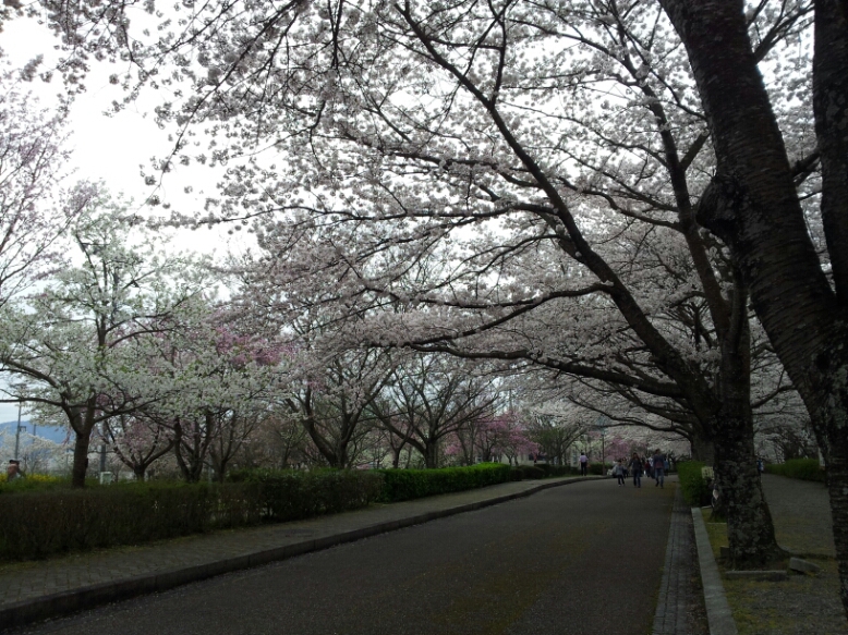 b0211924_23165858.jpg