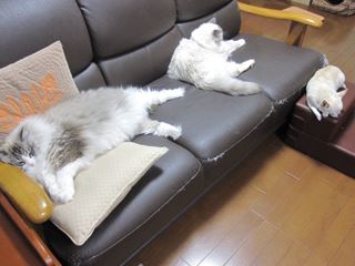 c0053625_2271395.jpg