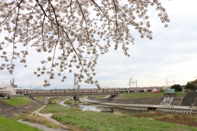 お花見_a0066027_9232213.jpg