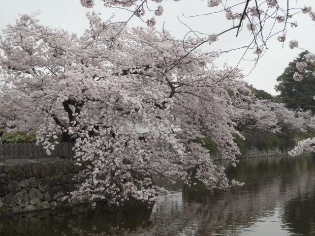 鎌倉（小田原・箱根）_f0148927_22232838.jpg