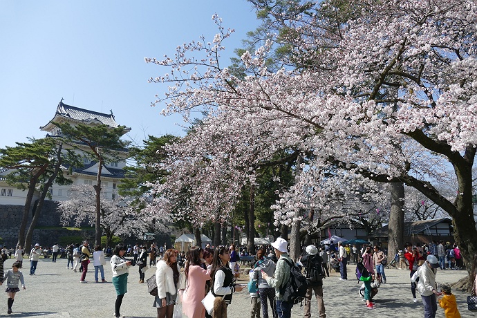 湯河原・幕山公園から城山を目指す　その５_c0196928_7312742.jpg