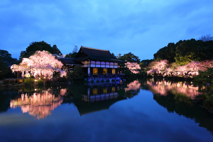 平安神宮 東神苑特別ライトアップ（前編）_b0169330_2116456.jpg