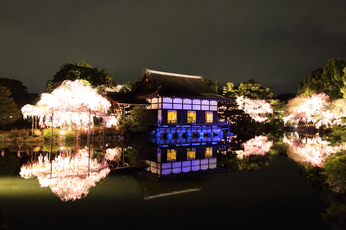 平安神宮 東神苑特別ライトアップ（中編）_b0169330_22111821.jpg