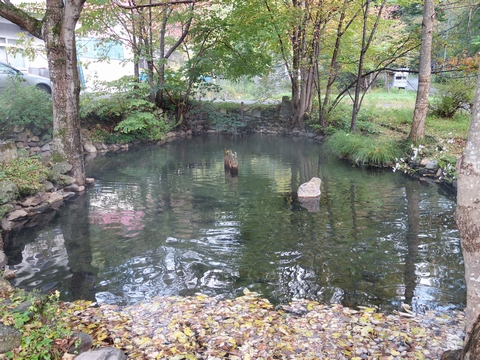 b0042334_12314727.jpg