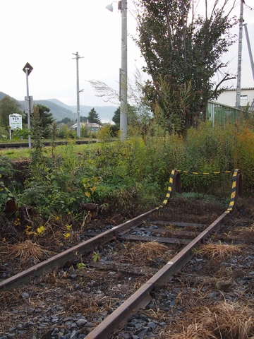 b0042334_12433590.jpg
