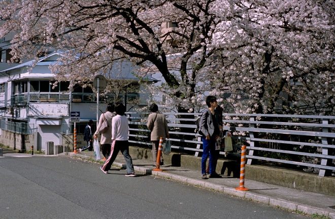 河畔に桜（その５）_e0109735_23171427.jpg