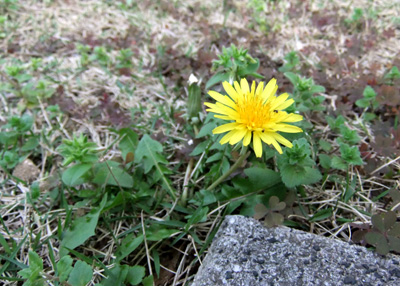 c0036138_21212178.jpg