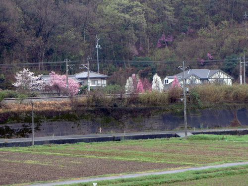 d0130640_20151486.jpg