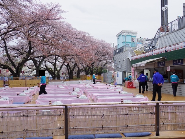 今年のお花見はとしまえん ぐうたらせいかつ2