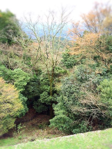 花暦ウォーク@壺坂・高取城址コース_e0292546_2119119.jpg