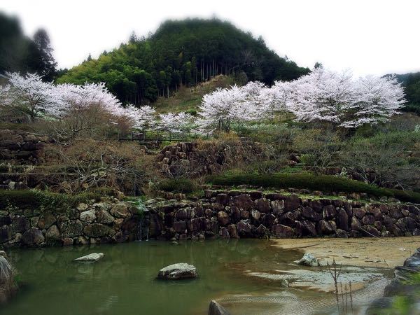 花暦ウォーク@壺坂・高取城址コース_e0292546_21194735.jpg
