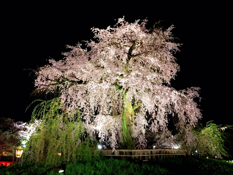c0343447_9553129.jpg