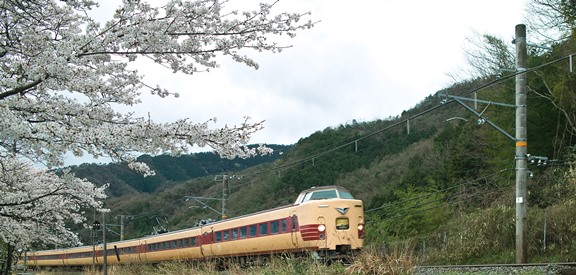 養父市八鹿町八木・西方寺のしだれ桜・・・・特急電車_d0005250_18284558.jpg