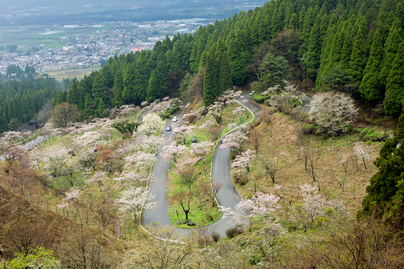 桜ロケハン！_a0057752_1975053.jpg