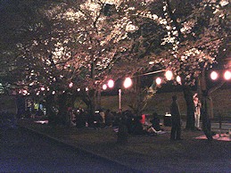 c0001653_3172.jpg