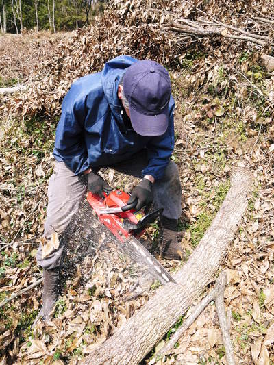 原木しいたけ　コマ打ち作業2015　その２_a0254656_1773567.jpg