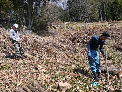 原木しいたけ　コマ打ち作業2015　その２_a0254656_18122479.jpg