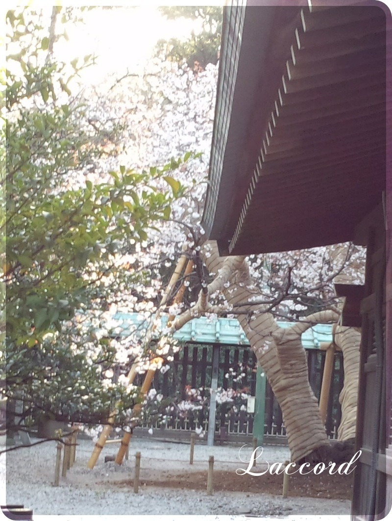 南青山でディナー_f0275956_19273179.jpg
