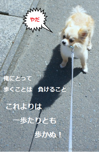 b0112758_17514661.png