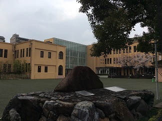伊藤 遊 谷川 竜一 村田 麻里子 山中 千恵 マンガミュージアムへ行こう 岩波ジュニア新書 14 本日の中 東欧