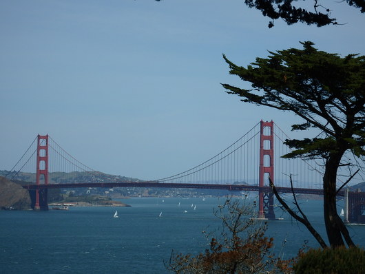 c0115366_20103186.jpg