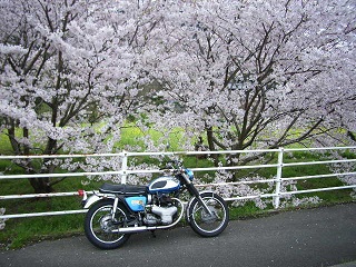 a0064474_965671.jpg
