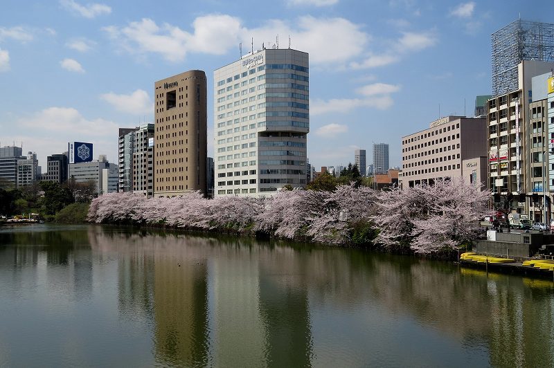 2015年4月2日　都内桜巡り　その３_c0313378_16171998.jpg