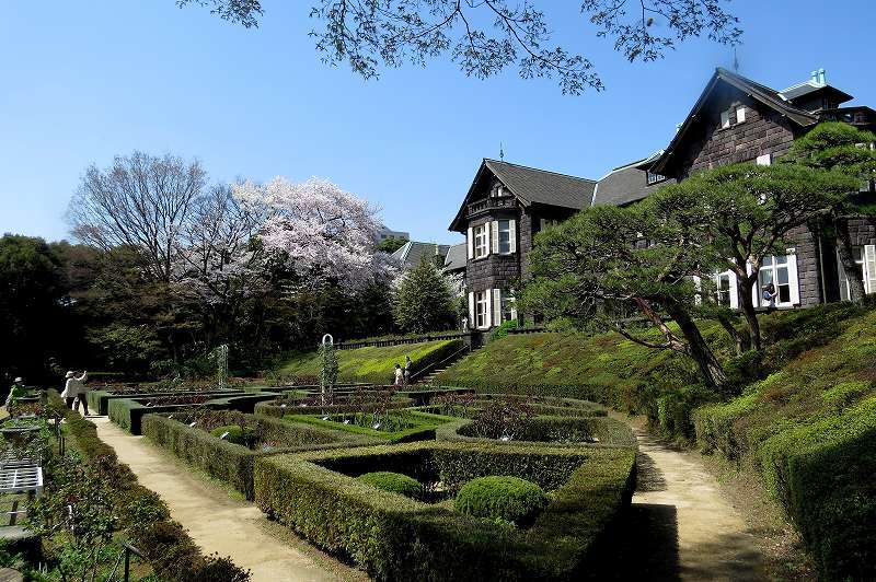 2015年4月2日　都内桜巡り　その５_c0313378_16183168.jpg