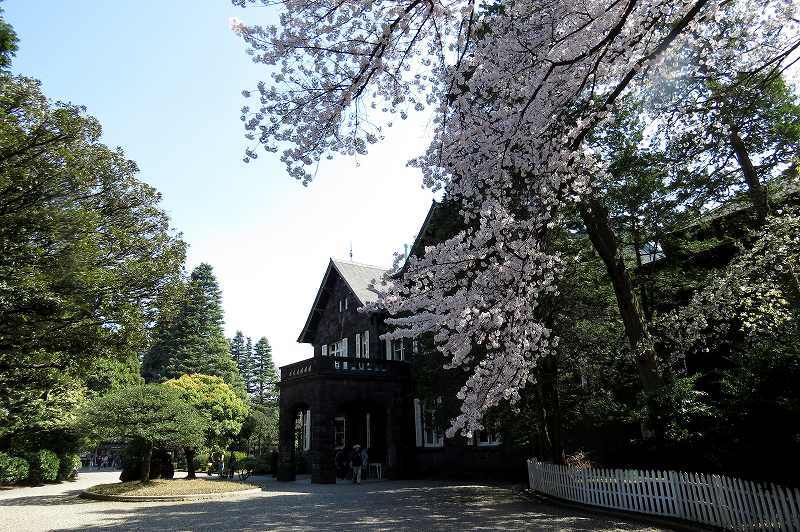 2015年4月2日　都内桜巡り　その５_c0313378_16185814.jpg