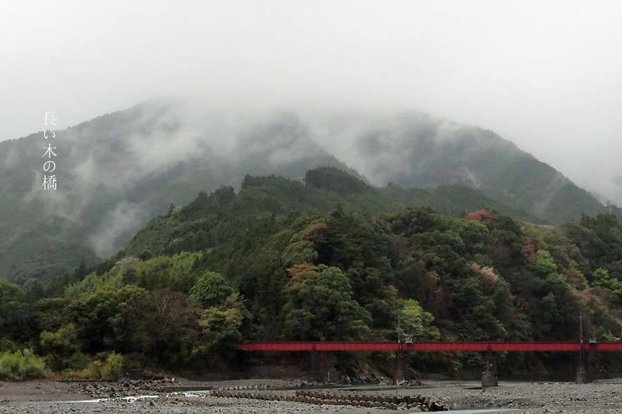 雨の川根路_e0243382_11213133.jpg