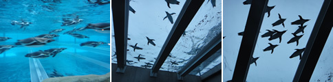 展海峰と森きらら_d0132289_17185780.jpg