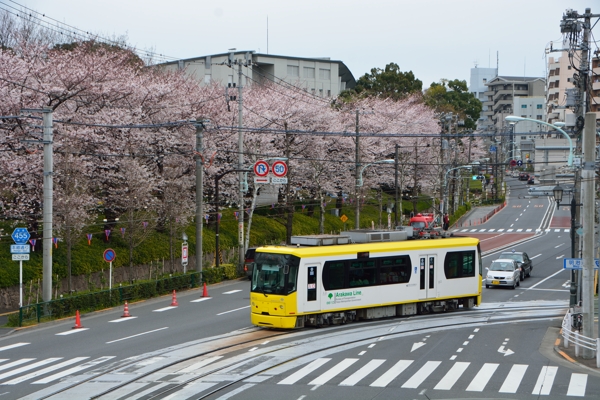 屋形船と飛鳥山_f0233999_2023430.jpg