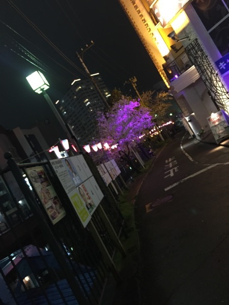 e0007801_21480657.jpg