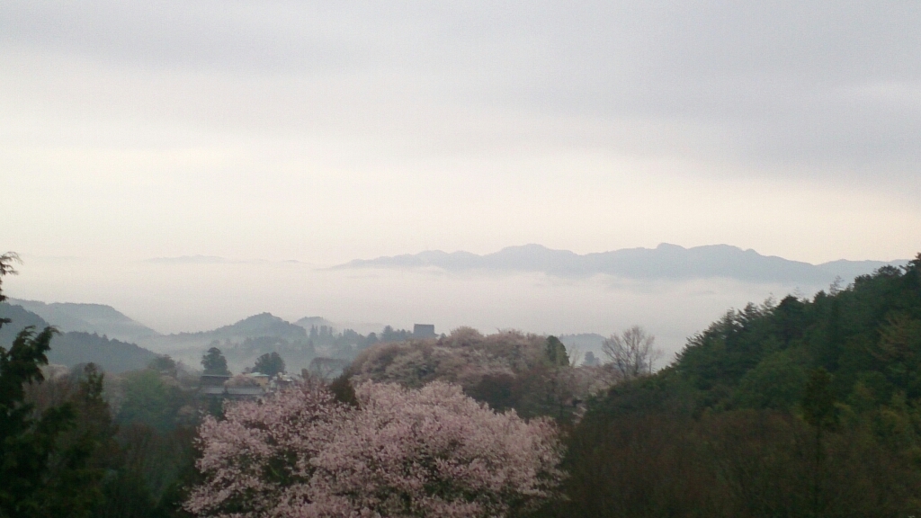 2015年4月6日今朝の吉野山の桜と景色_f0211506_07433558.jpg