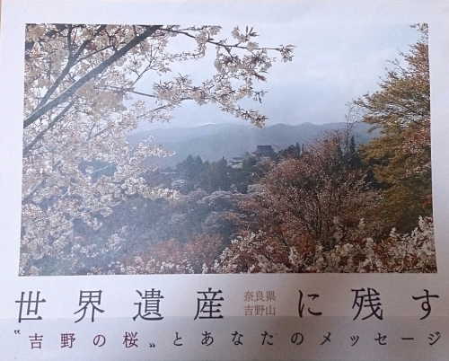 歴史深い世界遺産吉野山にあなたの桜を植えませんか？_f0211506_18463630.jpg