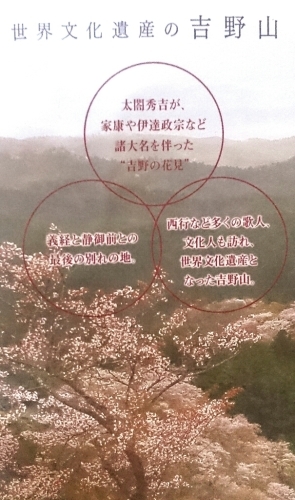 歴史深い世界遺産吉野山にあなたの桜を植えませんか？_f0211506_18463631.jpg