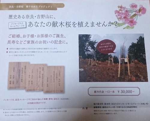 歴史深い世界遺産吉野山にあなたの桜を植えませんか？_f0211506_18463678.jpg