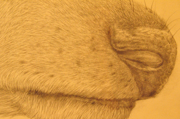 f0188408_1642327.jpg