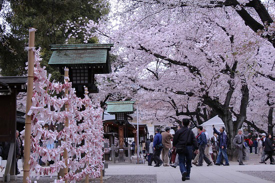 靖国神社と奉納大相撲_e0255509_20363150.jpg