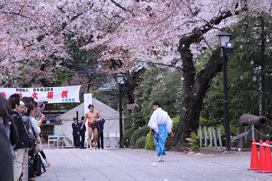 靖国神社と奉納大相撲_e0255509_20464428.jpg