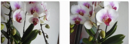 f0231709_11133134.gif