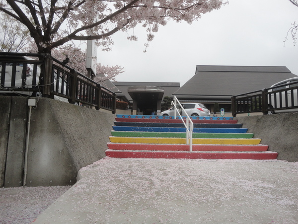 東温市のふるさと交流館さくらの湯、シャガの花…2015/4/6_f0231709_15301326.jpg