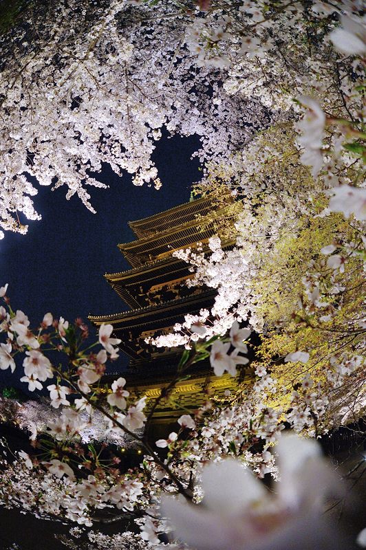 f0032011_1954072.jpg