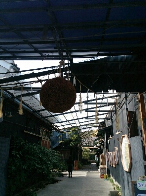 e0211912_20133946.jpg