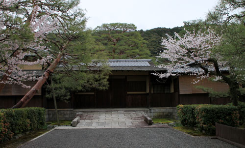 細川別邸と野村別邸 2015サクラ情報29_e0048413_20574856.jpg