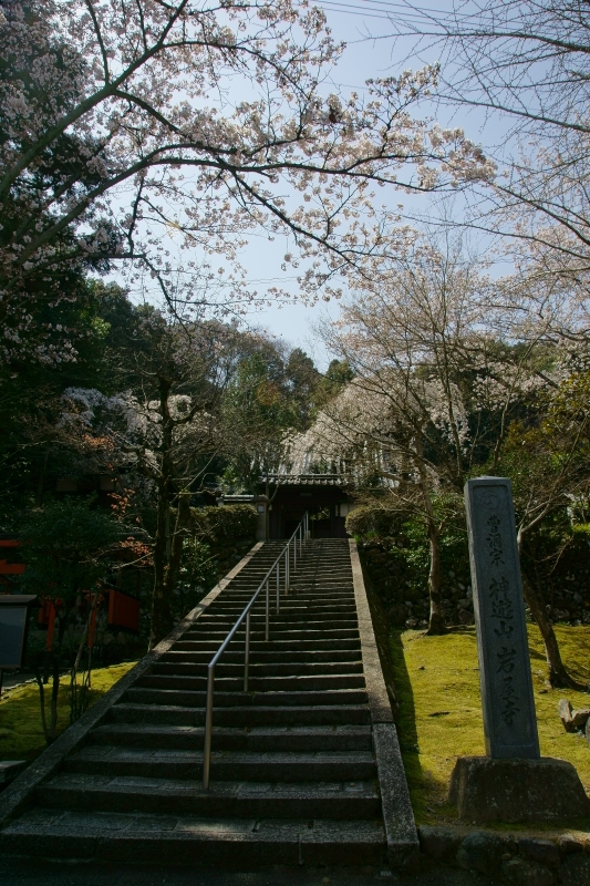 大石神社_e0177413_942957.jpg