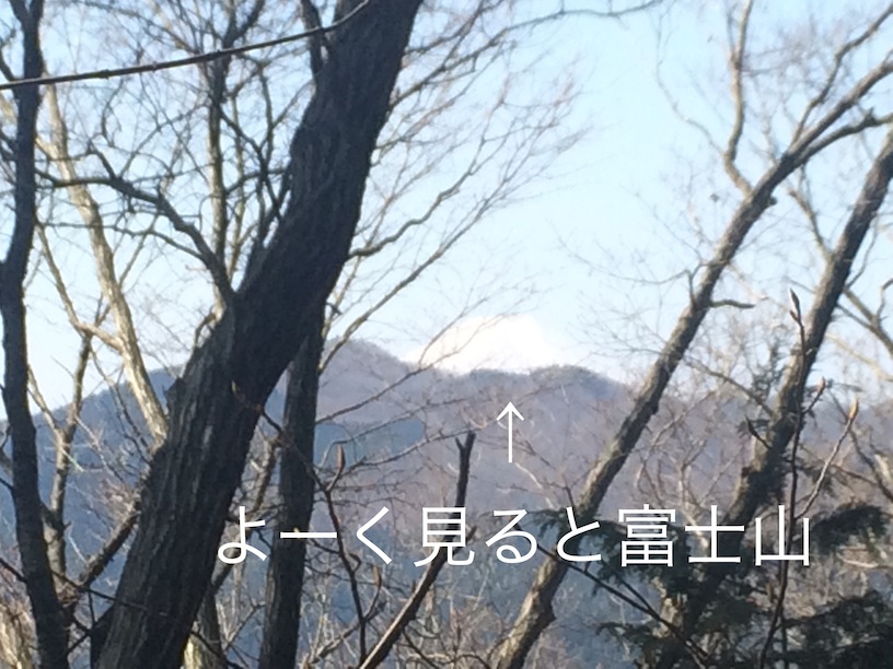 Trail Running 南奥多摩_c0222817_18144495.jpg