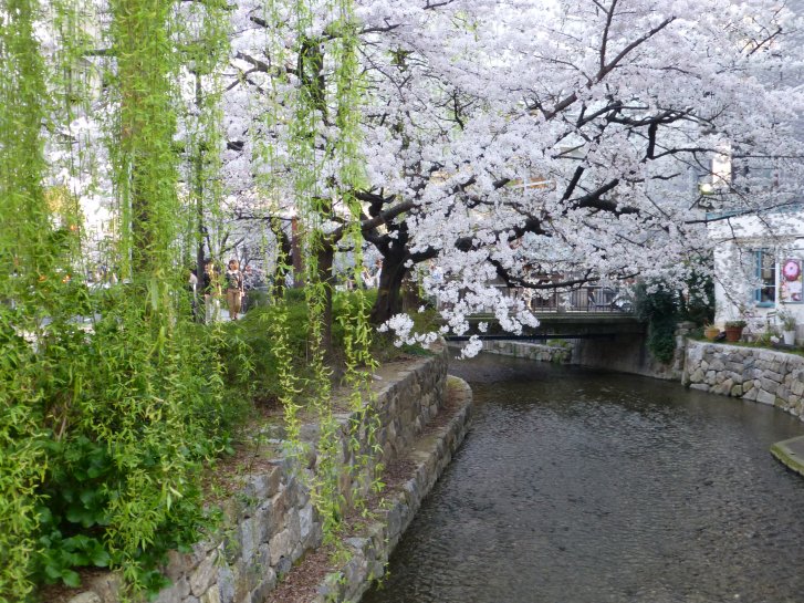 c0051620_6334151.jpg