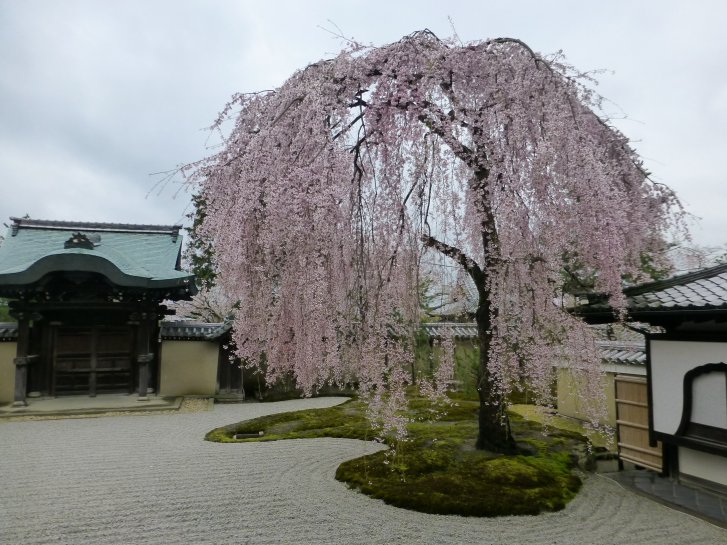 c0051620_6334911.jpg