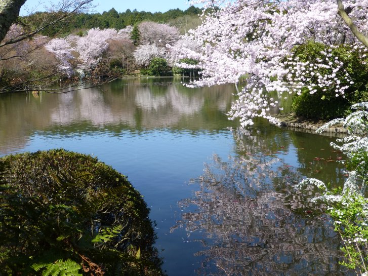 c0051620_6352810.jpg